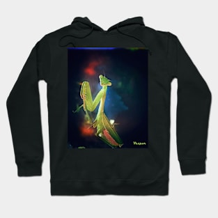 Eye Contact with the Mantis Hoodie